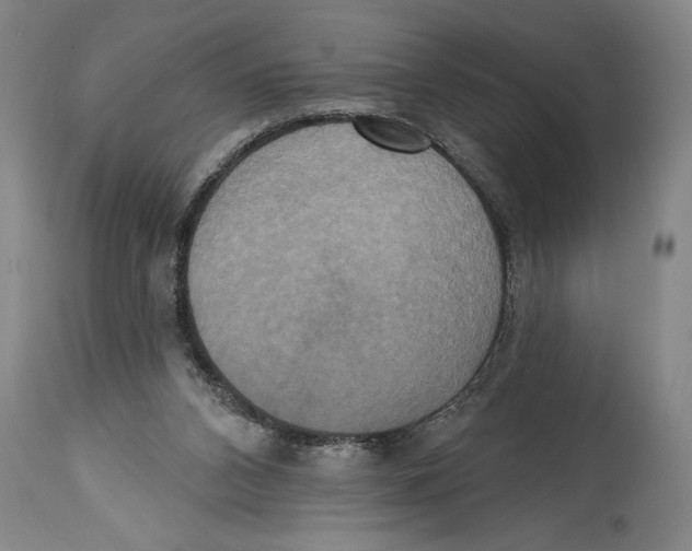 X0000114670112200911181216