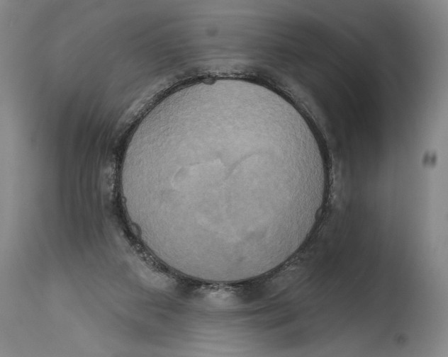 X0000114670113200911181216