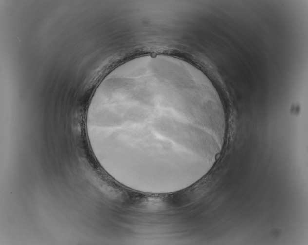 X0000114670114200911181216