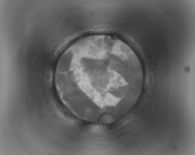 X0000114670115200911181216