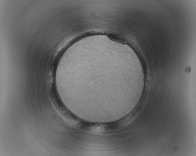 X0000114670116200911181216