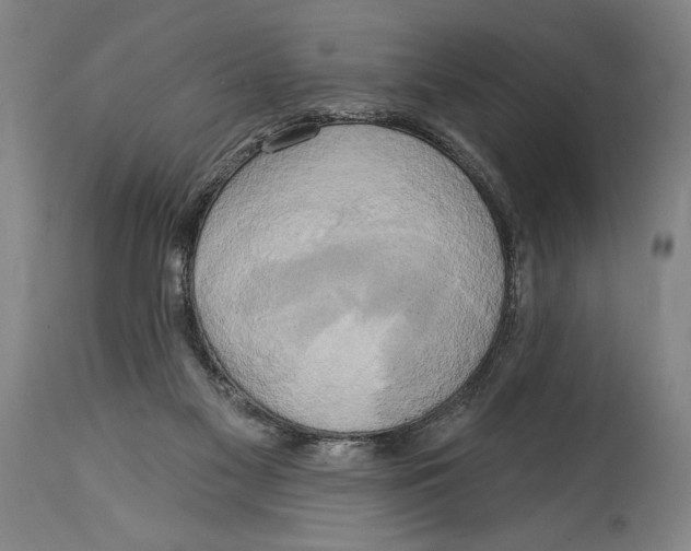 X0000114670117200911181216