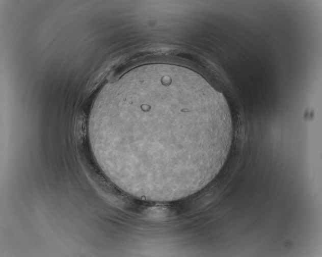 X0000114670119200911181216