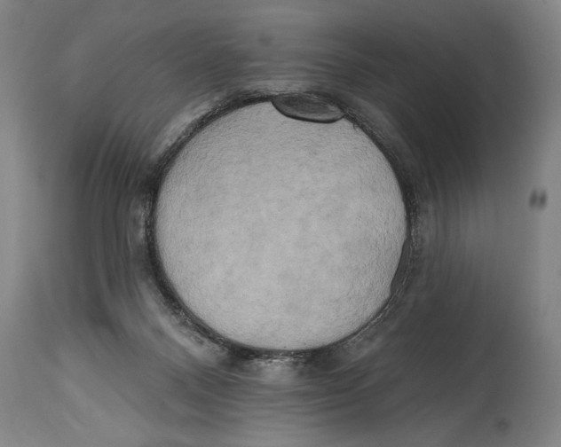 X0000114670120200911181216