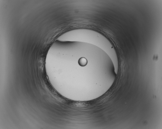 X0000114670121200911181216