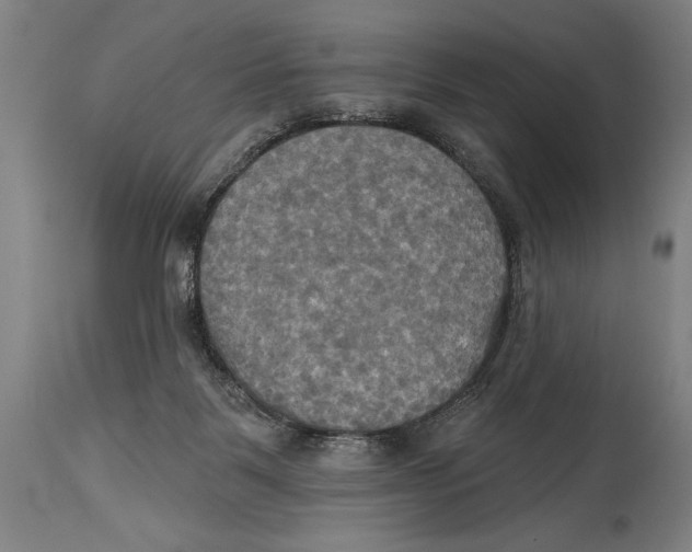 X0000114670123200911181216