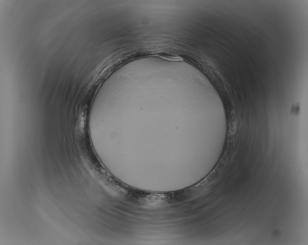 X0000114670124200911181216