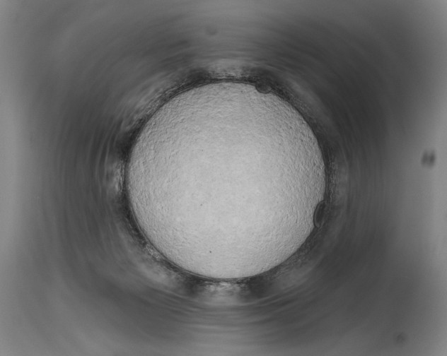 X0000114670125200911181216