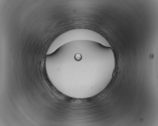 X0000114670129200911181216