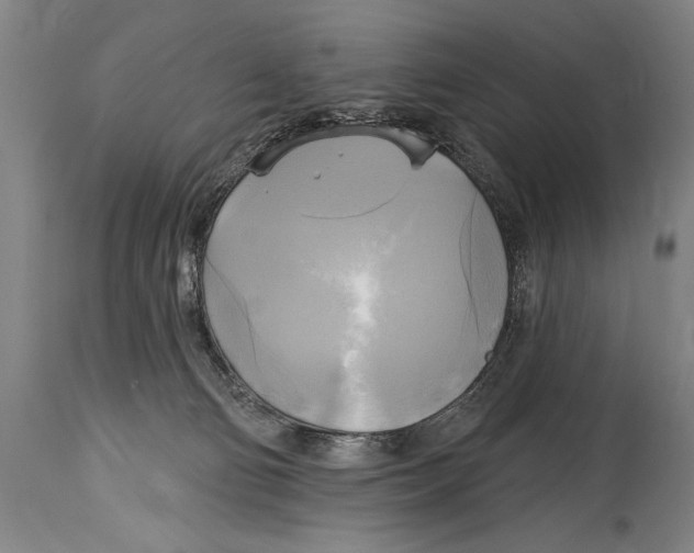 X0000114670130200911181216