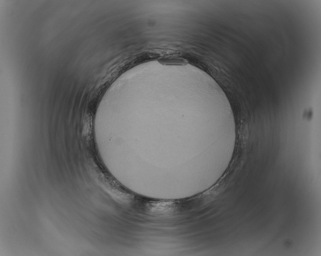 X0000114670132200911181216