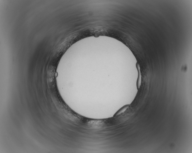 X0000114670133200911181216