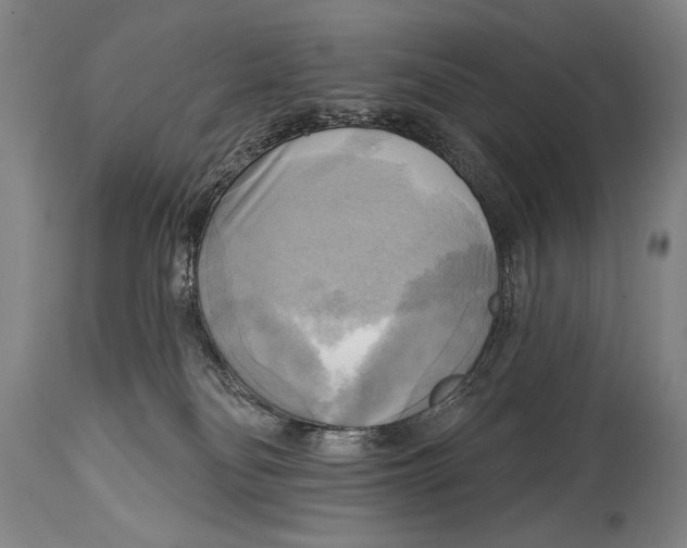 X0000114670134200911181216