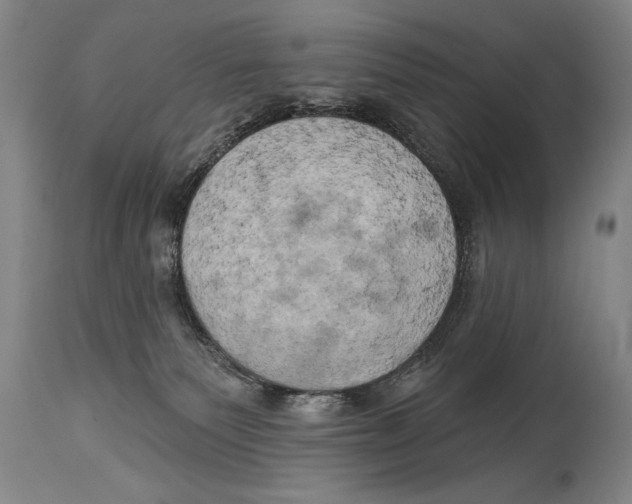 X0000114670135200911181216