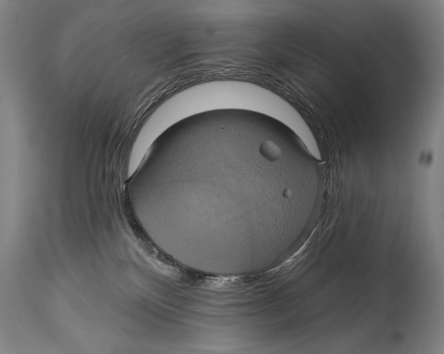 X0000114670136200911181216