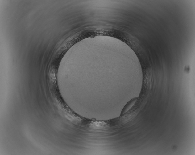 X0000114670137200911181216