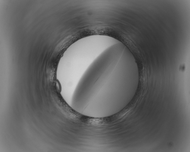 X0000114670139200911181216