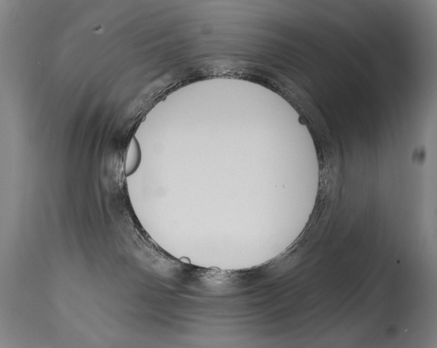 X0000114670142200911181216