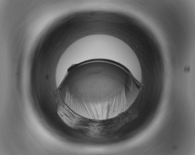 X0000114670143200911181216