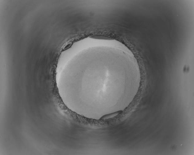 X0000114670144200911181216