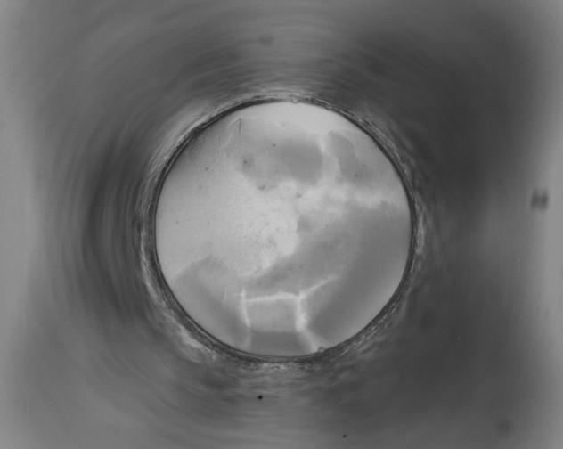 X0000114670145200911181215