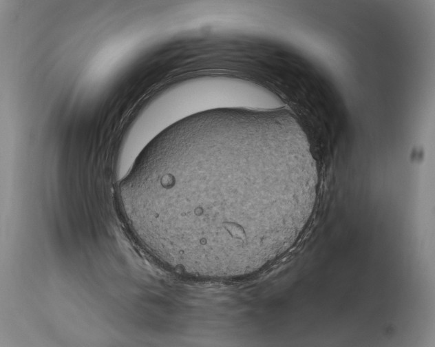 X0000114670146200911181215