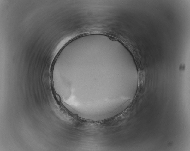 X0000114670147200911181215