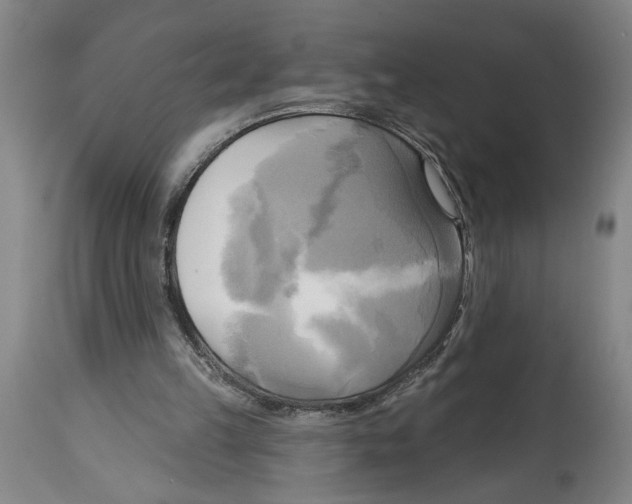 X0000114670149200911181215