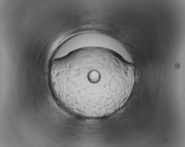 X0000114670150200911181215