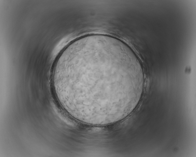 X0000114670151200911181215