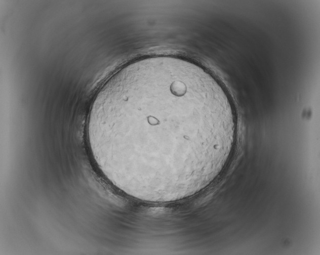 X0000114670153200911181215