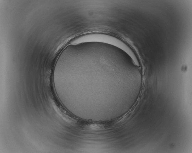 X0000114670154200911181215