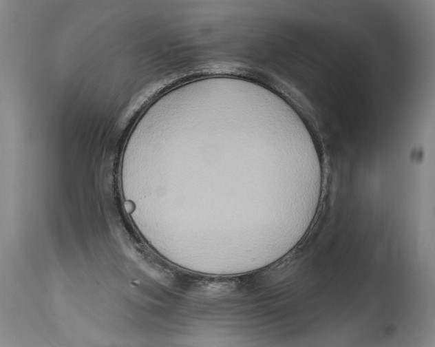 X0000114670155200911181215