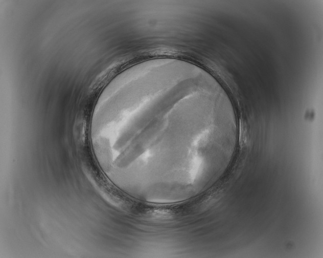 X0000114670157200911181215