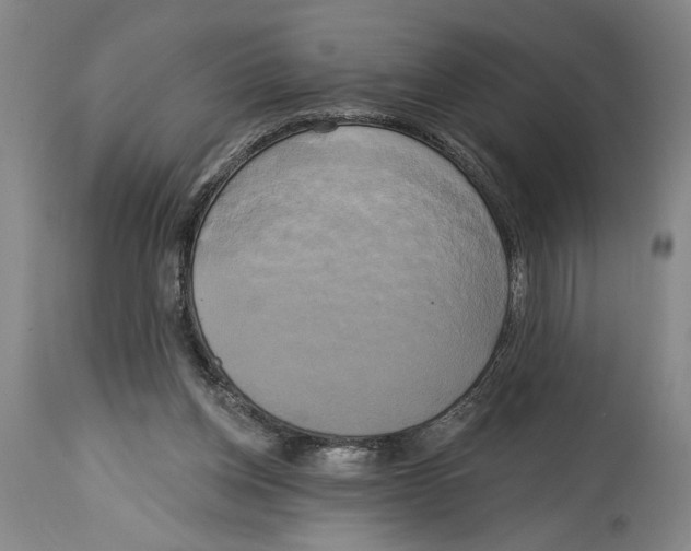 X0000114670158200911181215