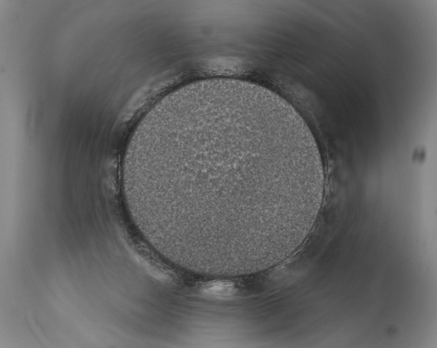 X0000114670162200911181215