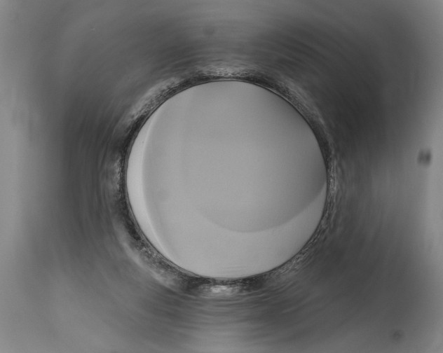 X0000114670163200911181215