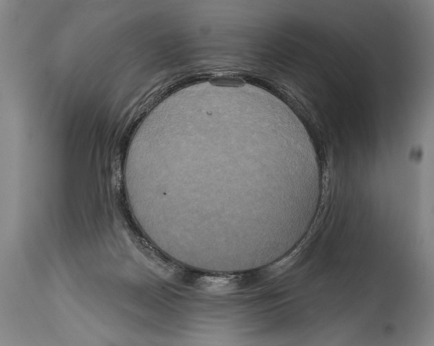 X0000114670170200911181215