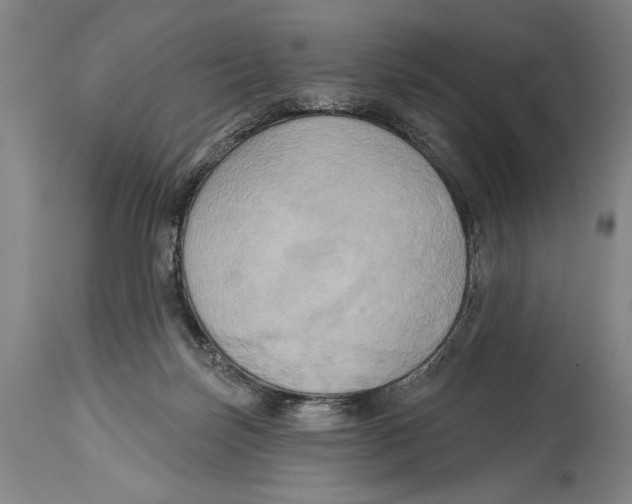 X0000114670171200911181215