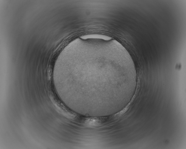 X0000114670174200911181215