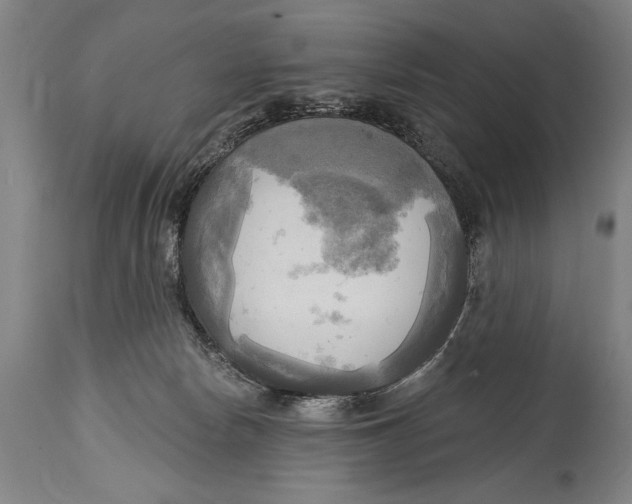 X0000114670178200911181215