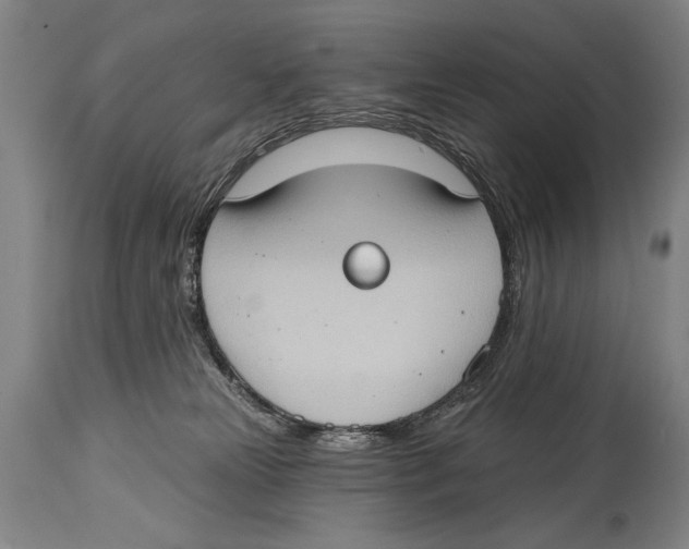 X0000114670181200911181215