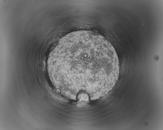 X0000114670183200911181216