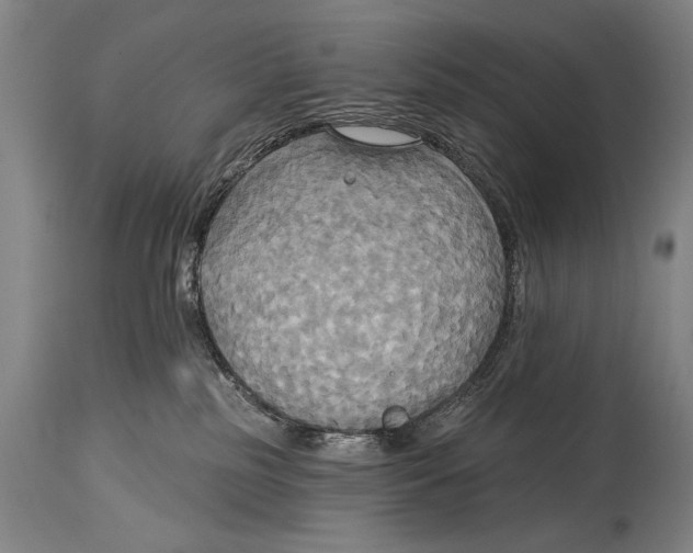 X0000114670185200911181216