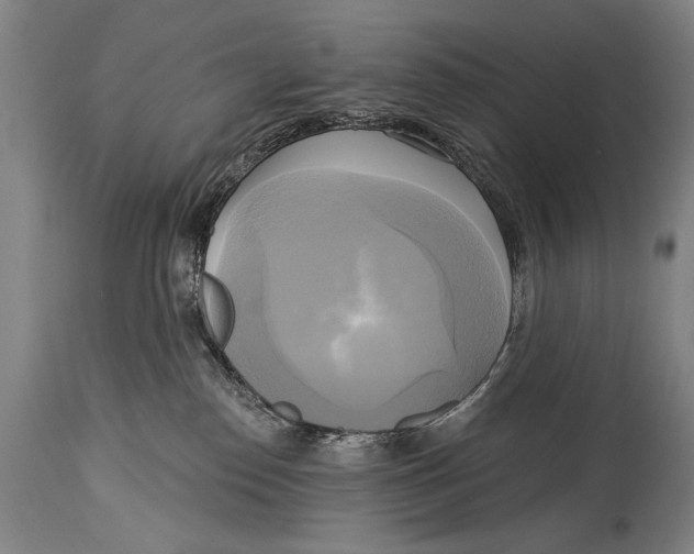 X0000114670186200911181216