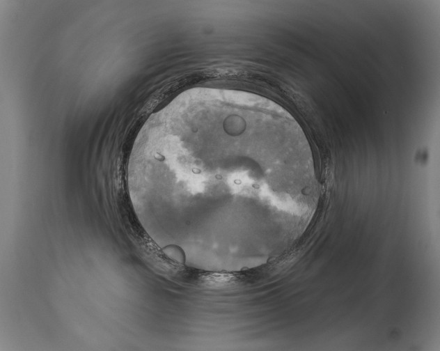 X0000114670189200911181216