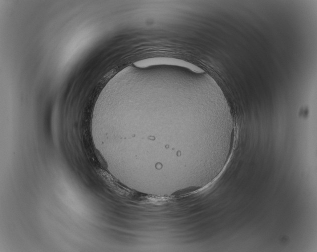 X0000114670190200911181216