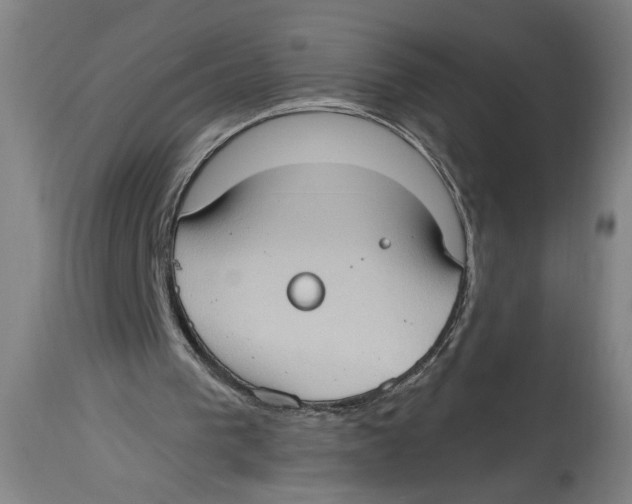 X0000114670193200911181215