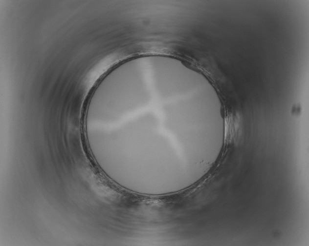 X0000114670195200911181215