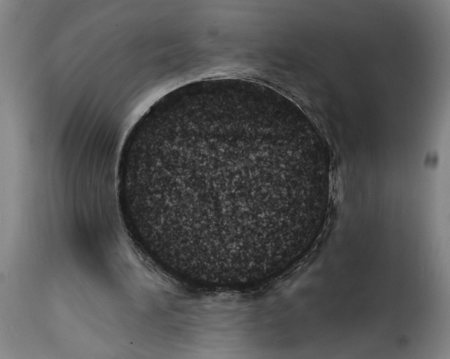 X0000114670196200911181215